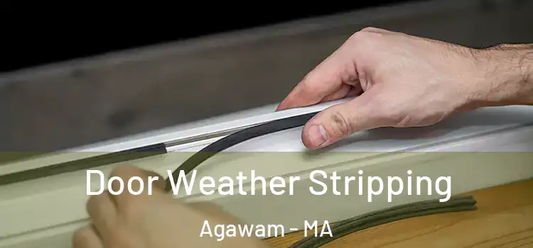 Door Weather Stripping Agawam - MA