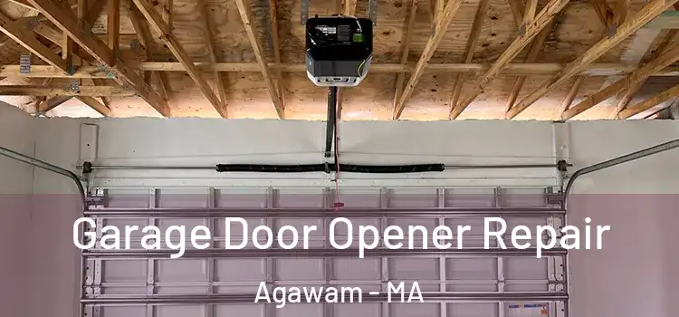  Garage Door Opener Repair Agawam - MA