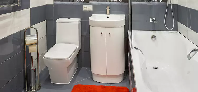 Hansgrohe Shaving Mirror Agawam