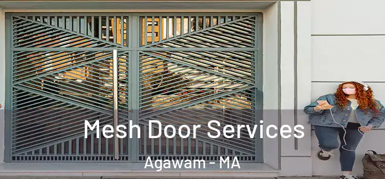 Mesh Door Services Agawam - MA