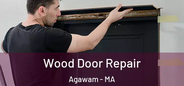  Wood Door Repair Agawam - MA